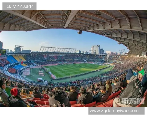 全队携手绕场致谢与球迷共庆辉煌时刻分享无尽喜悦